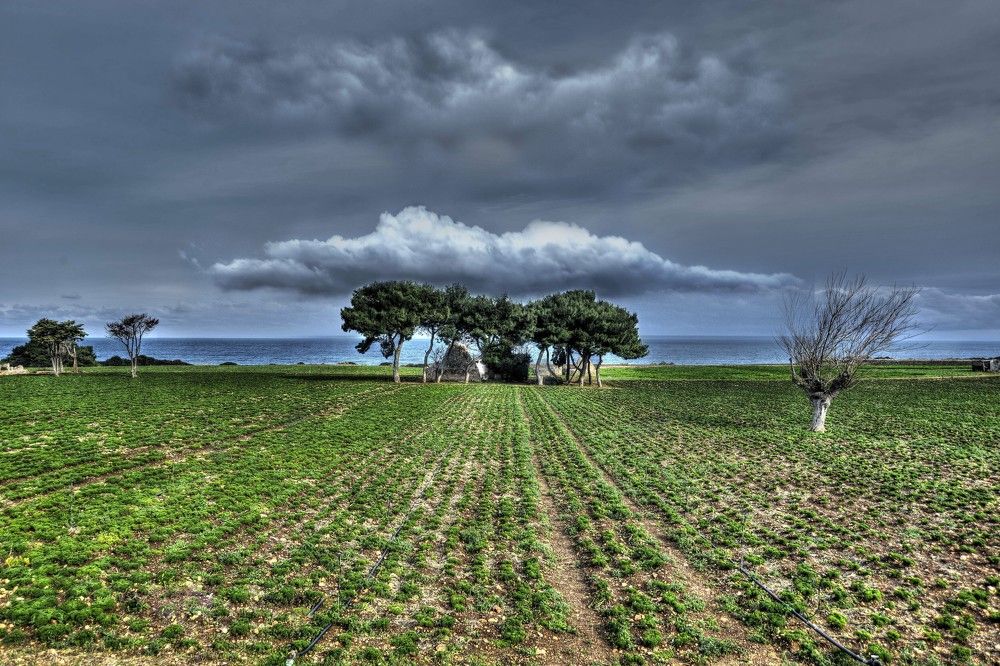 Фотография автора Nicola Lamanna