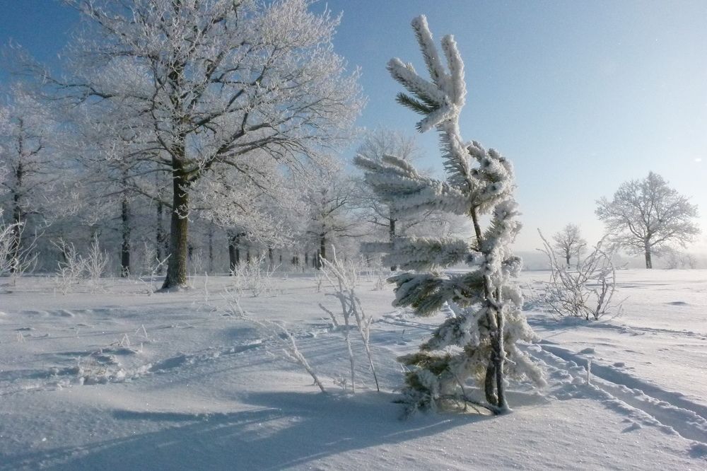 Photo #6968664