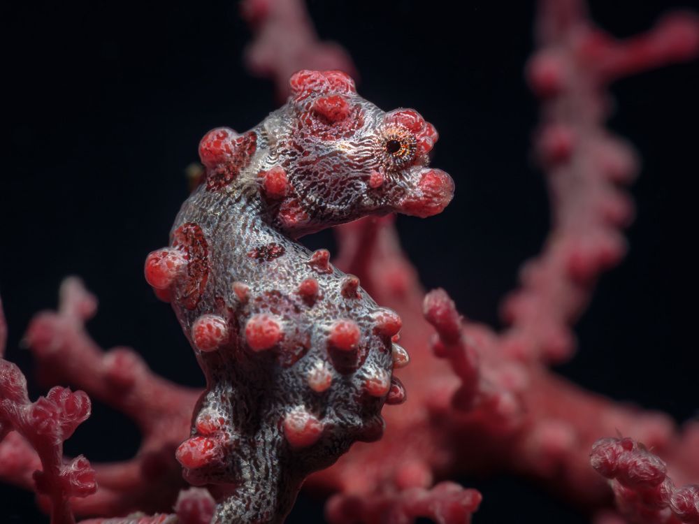 Photograph by Андрей Савин