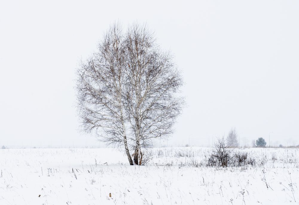 Photograph by Александр Соколов