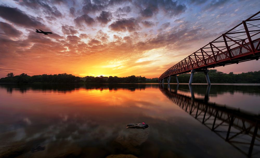 Photograph by PARTHA ROY