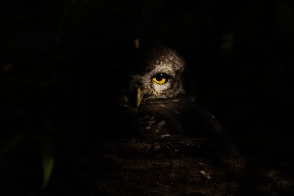 Photograph by Ajay Sadh