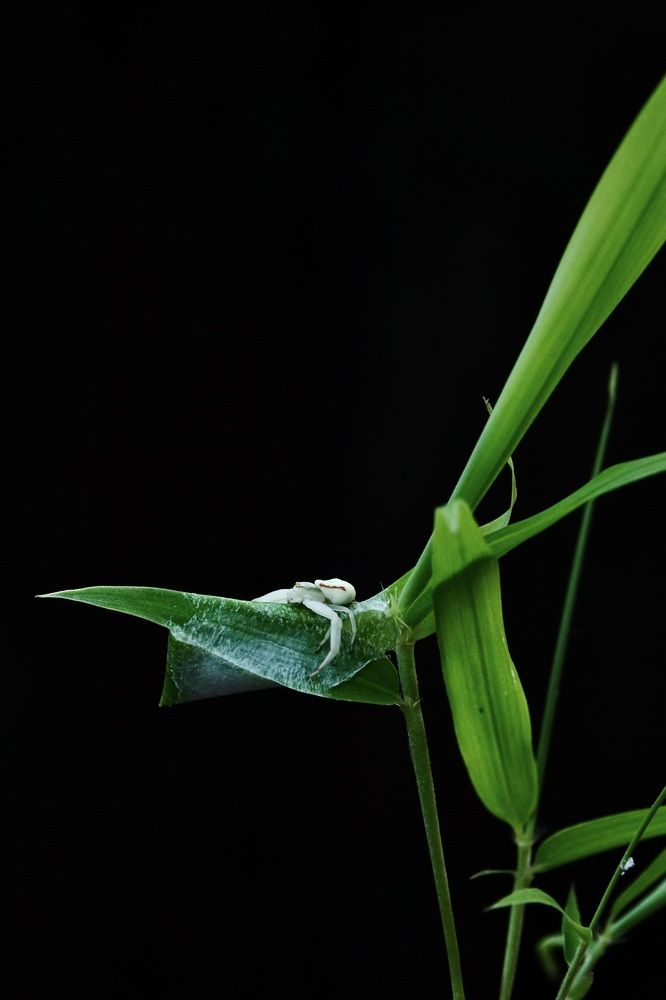 Photograph by Наталья Пирогова