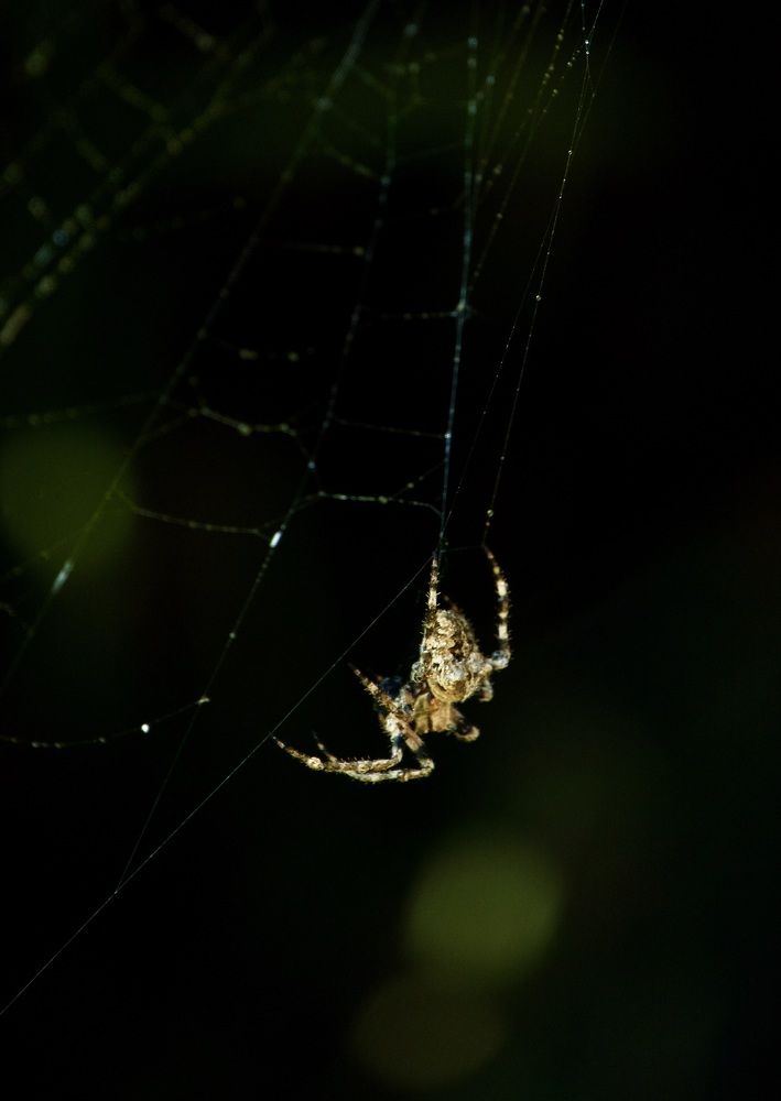 Photograph by Наталья Пирогова