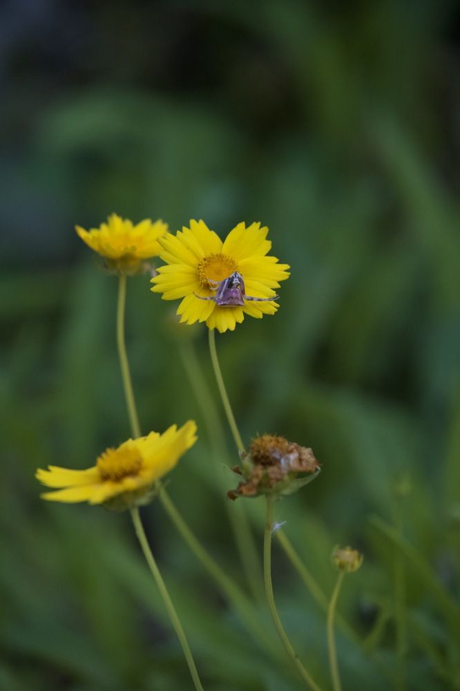 Photograph by Наталья Пирогова