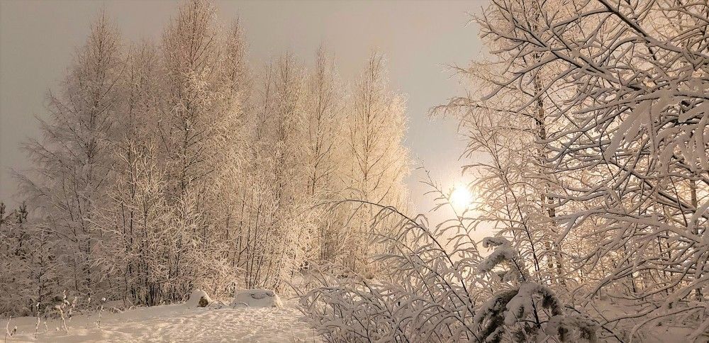 Photograph by Epp Tappel