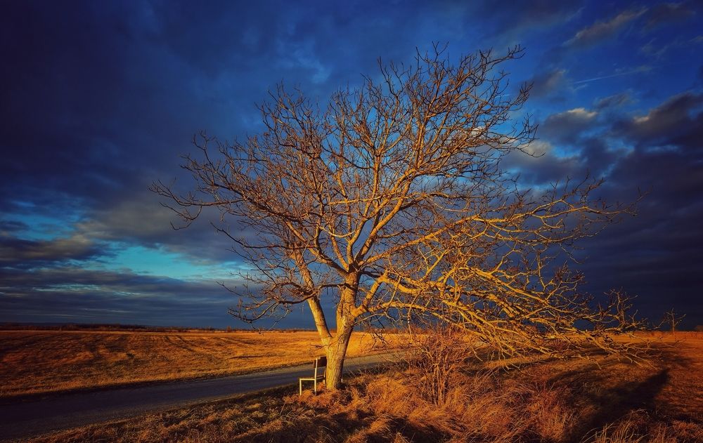 Photograph by Eva Wiedemann