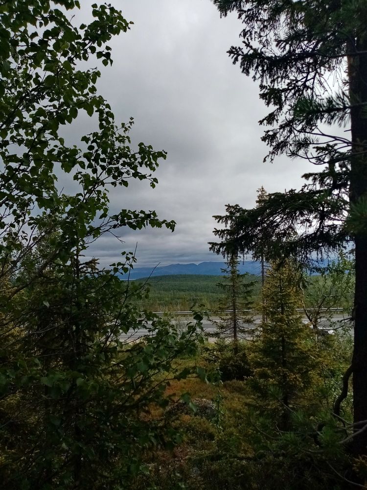 Photo #6968777