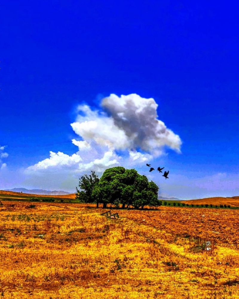 Фотография автора mohammadreza izadi