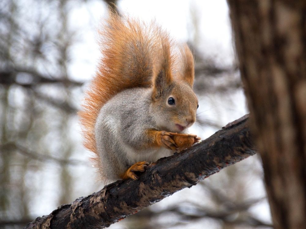 Photograph by Тихон Петров