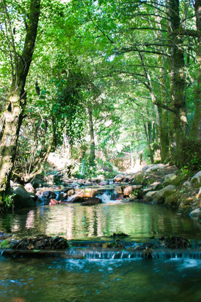 Photograph by Islam Traikia