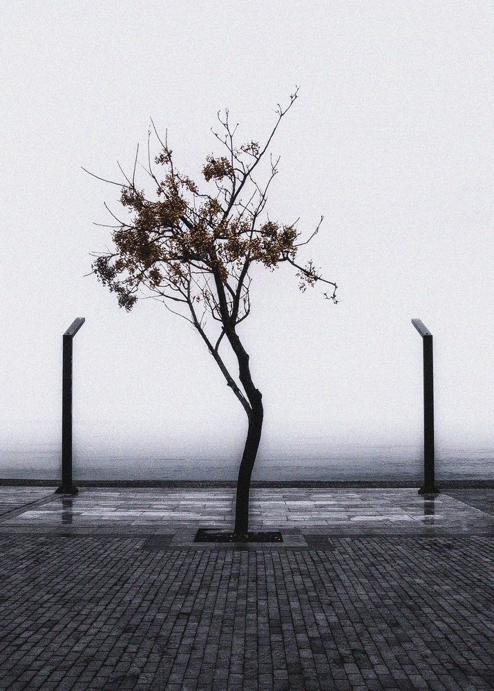 Photograph by Rustu Erata