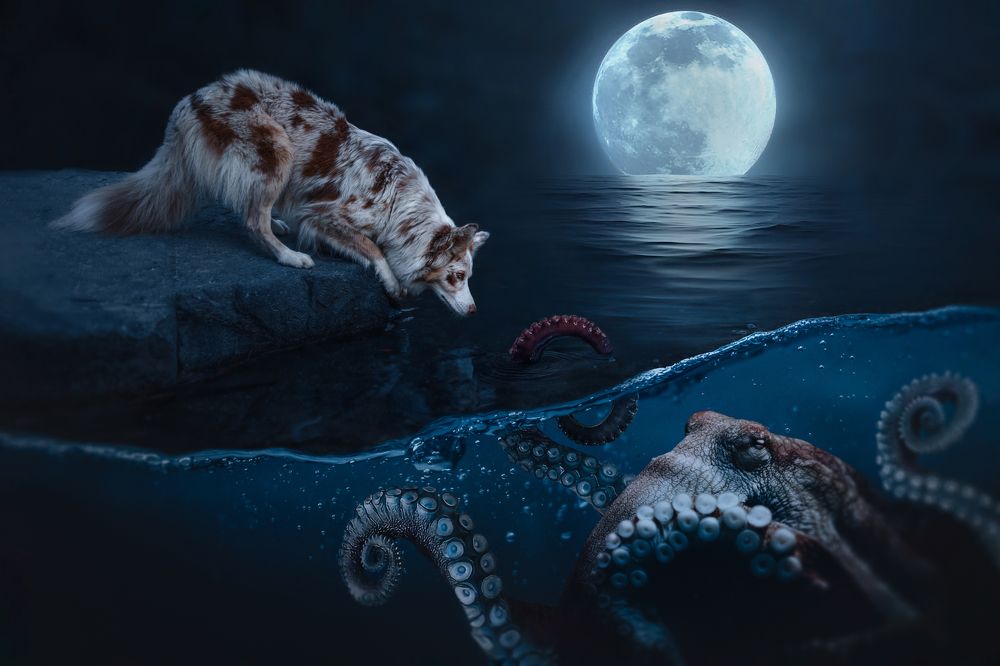 Photograph by Ve Shandor