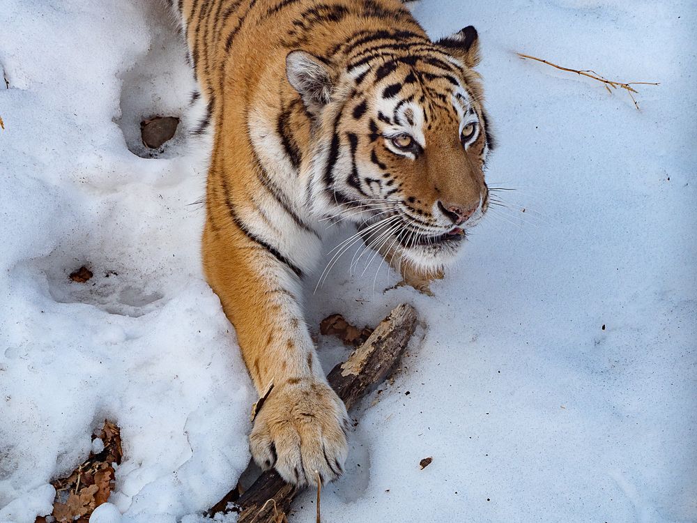 Photograph by Матвей Матвеев