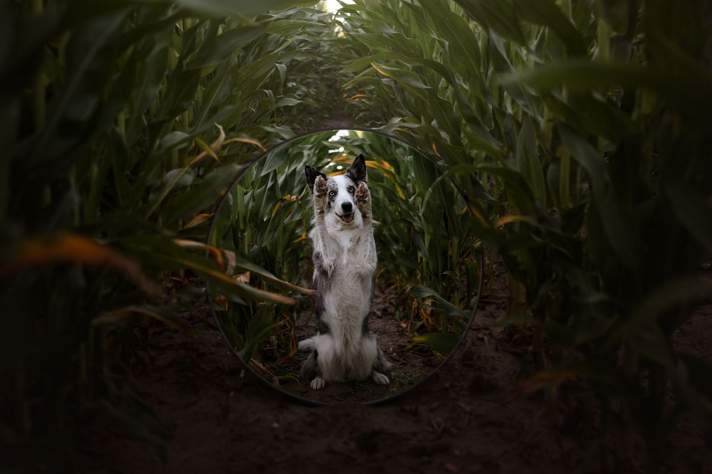 Photograph by Ve Shandor