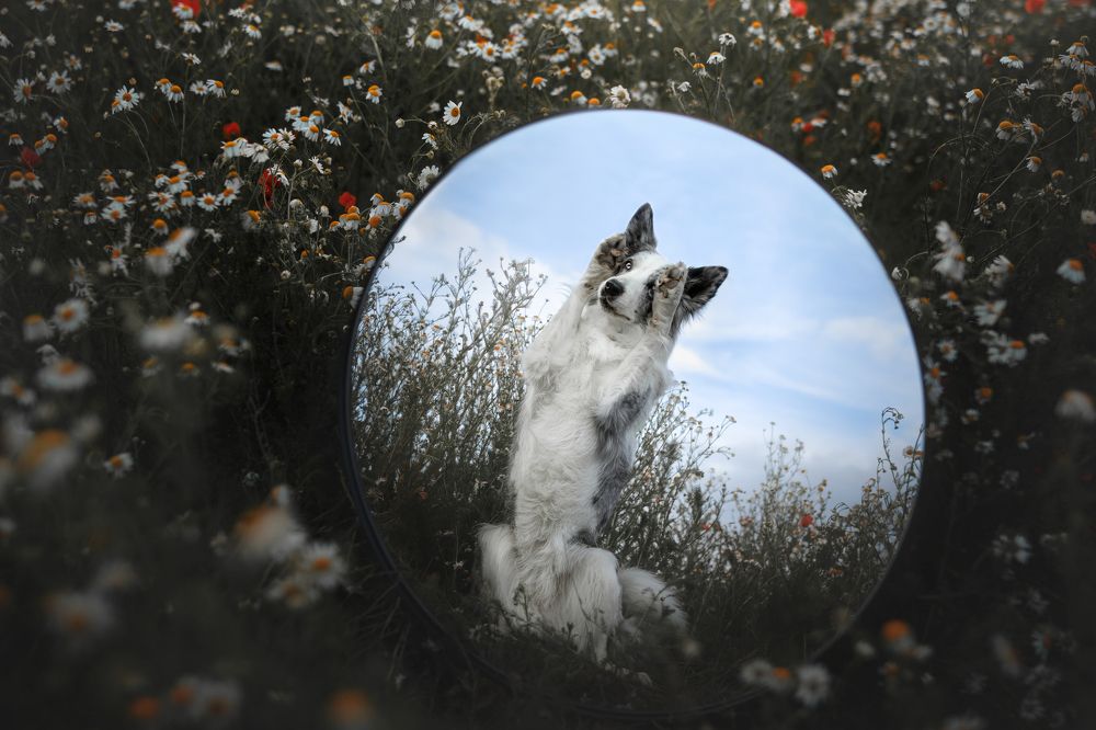 Photograph by Ve Shandor