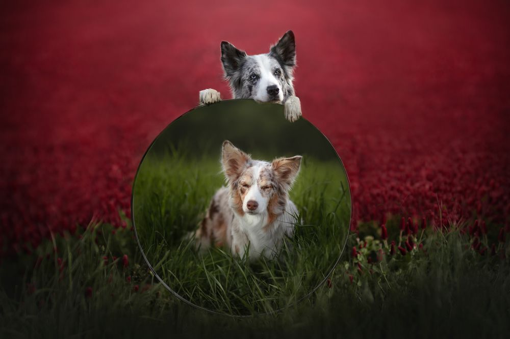 Photograph by Ve Shandor