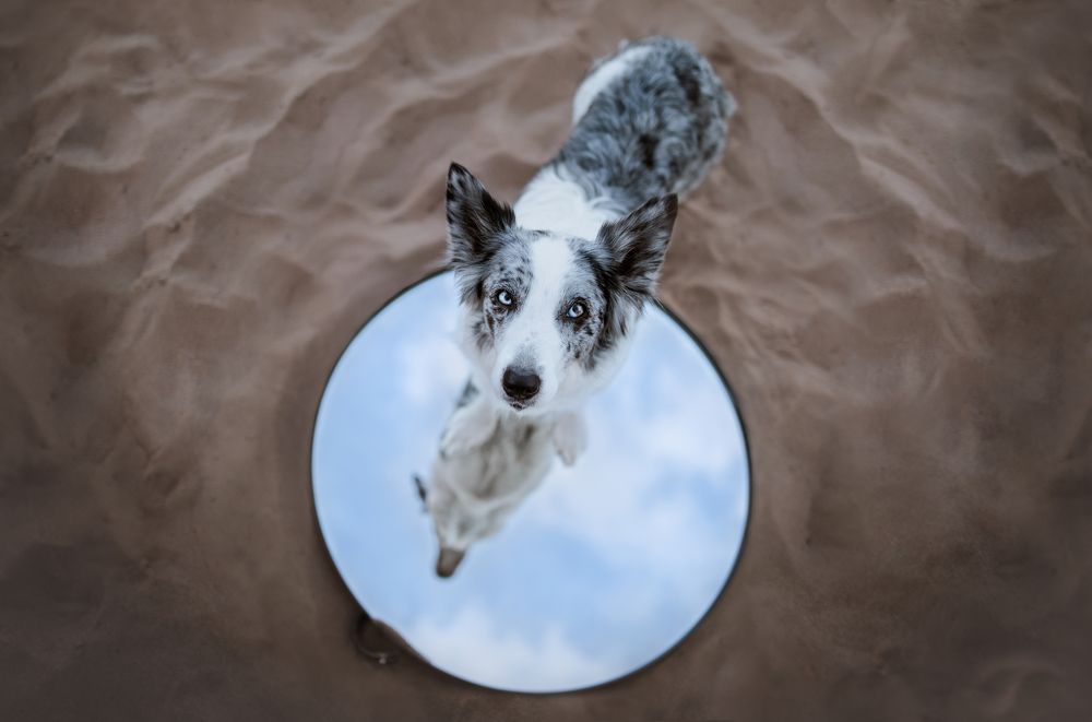 Photograph by Ve Shandor