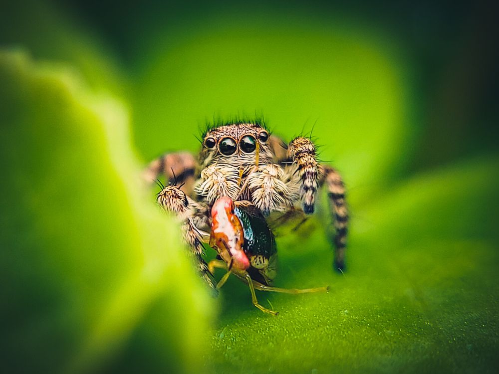 Photograph by DHRUV CHAUHAN