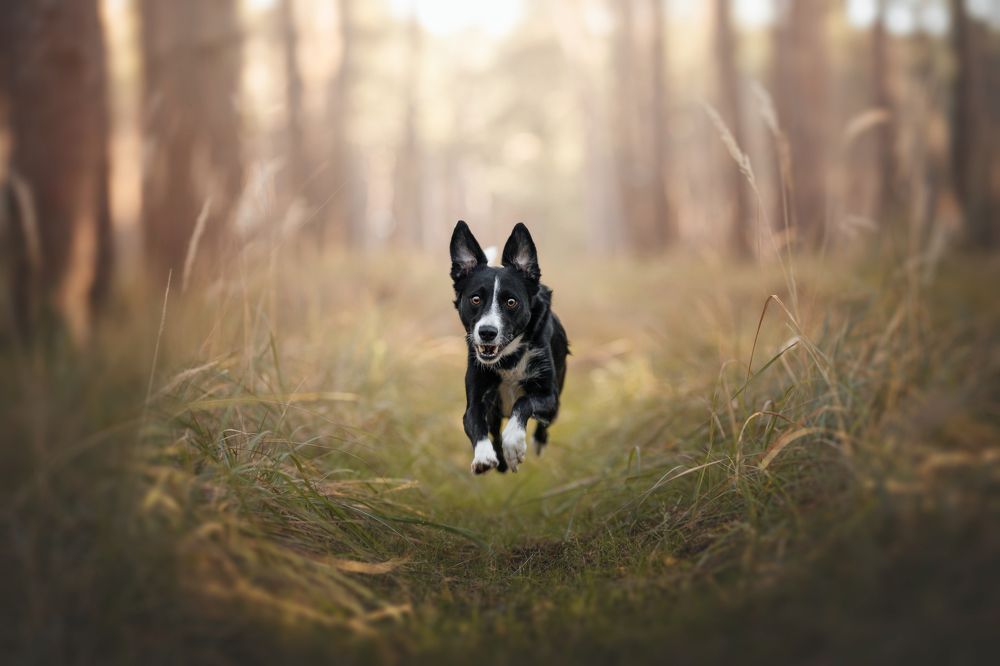 Photograph by Ve Shandor