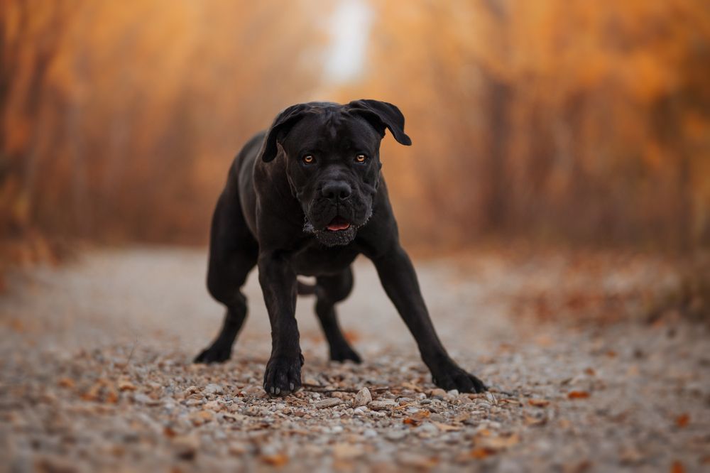 Photograph by Ve Shandor