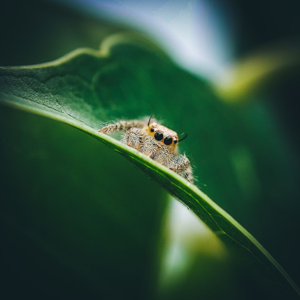 Photograph by DHRUV CHAUHAN