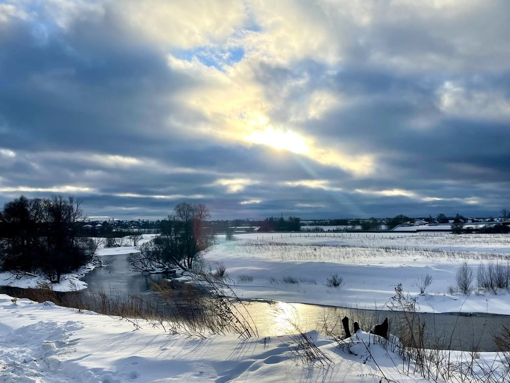 Фотография автора Юлия Шумейко