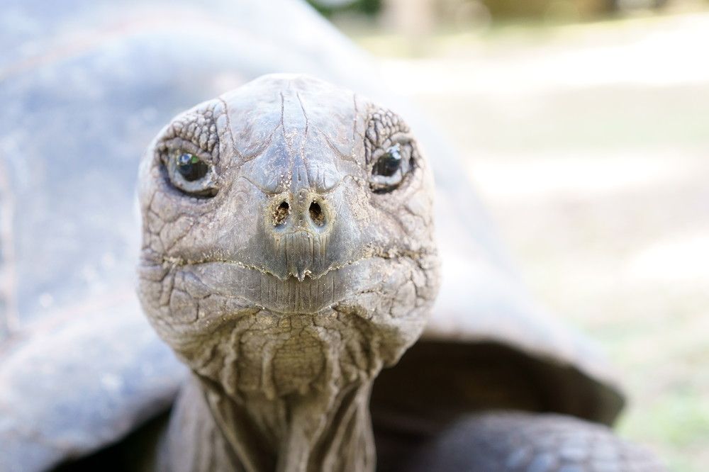 Photograph by Hannes Schwarz