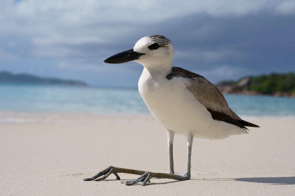 Photograph by Hannes Schwarz