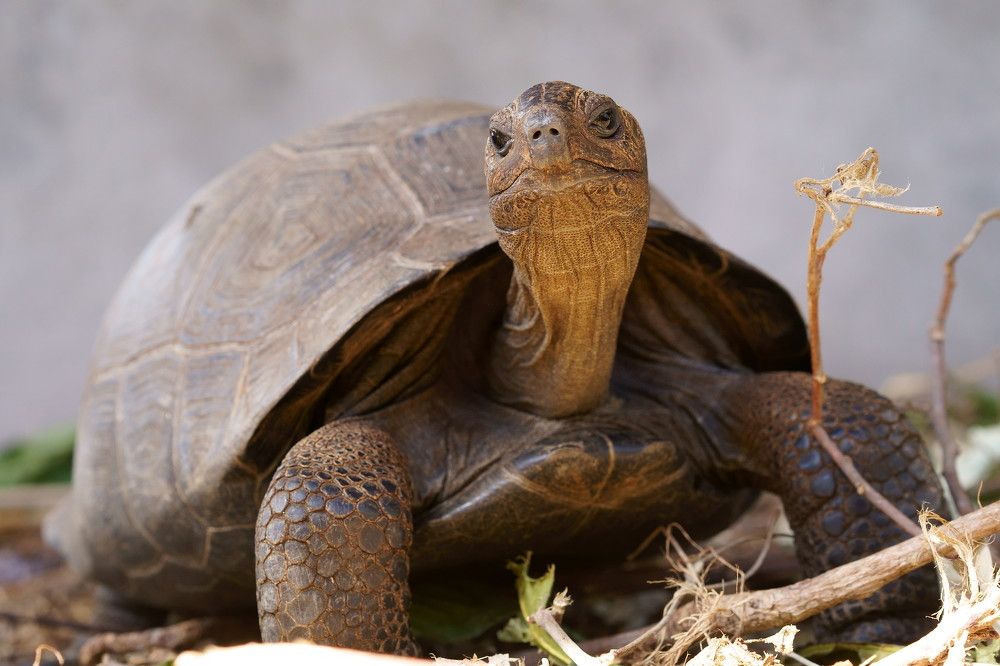 Photograph by Hannes Schwarz