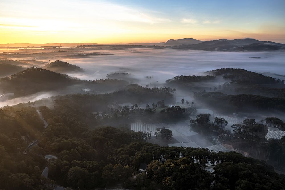 Photograph by PARTHA ROY