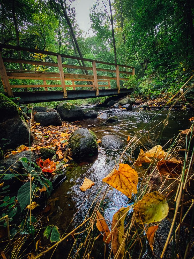 По дороге в бухту
