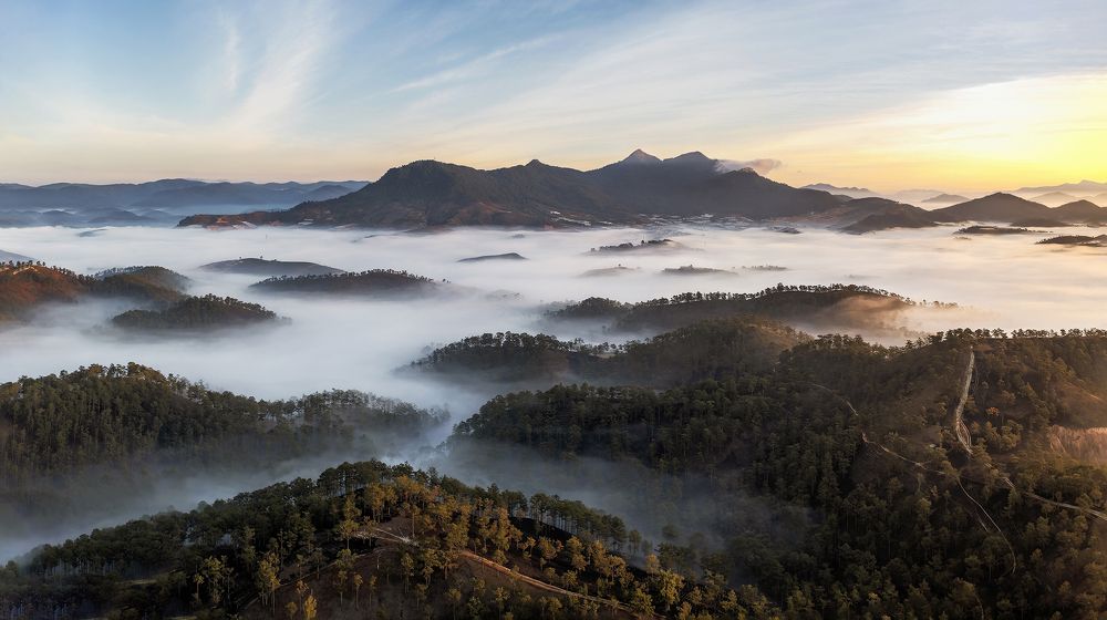 Photograph by PARTHA ROY