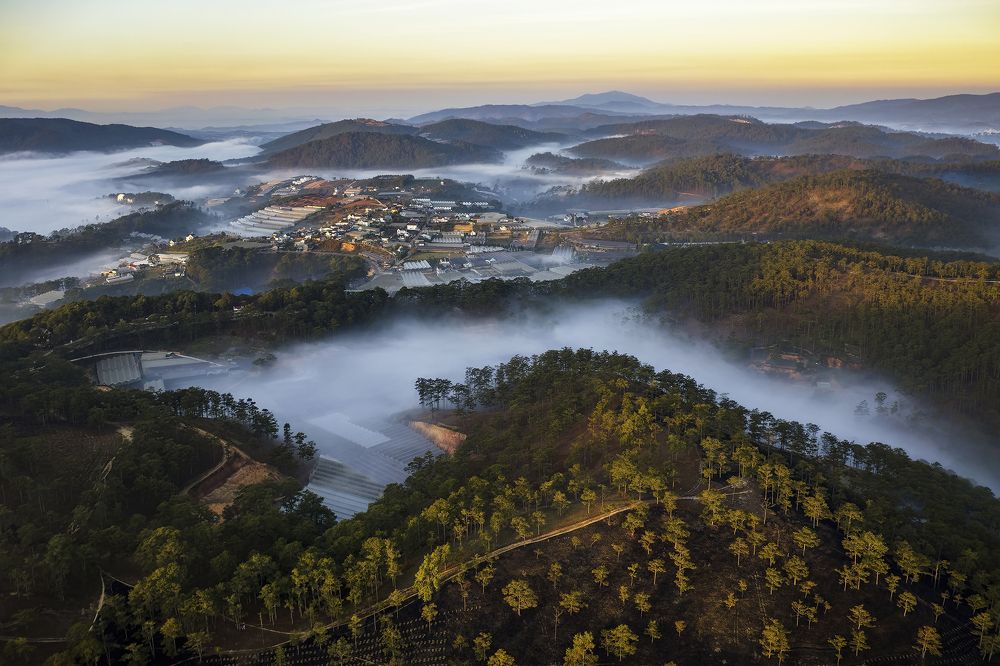 Photograph by PARTHA ROY