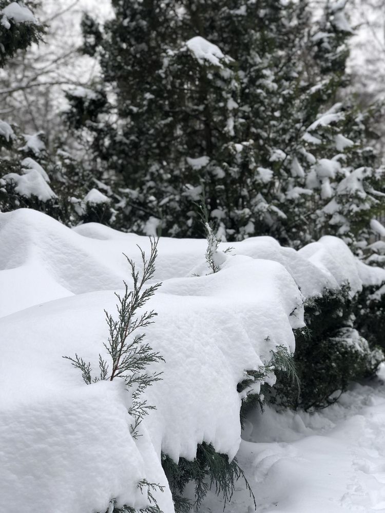 Photograph by Ирина