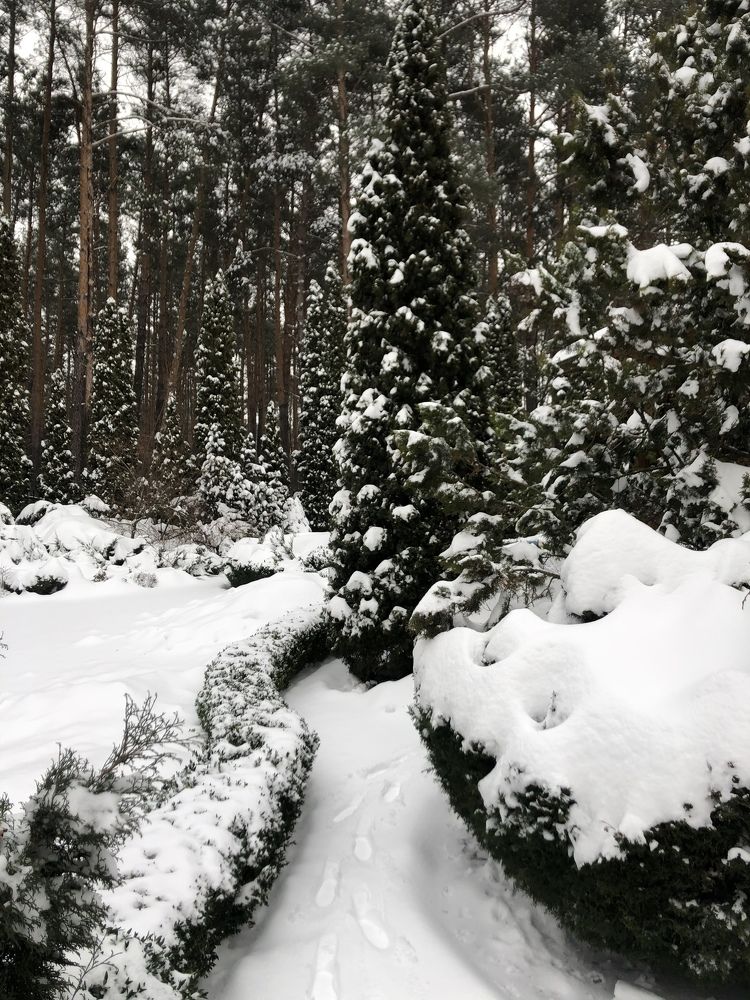 Photograph by Ирина