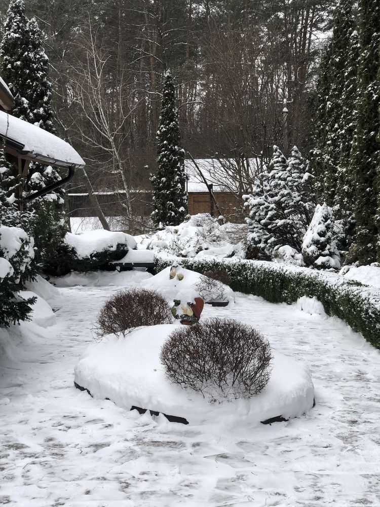 Photograph by Ирина