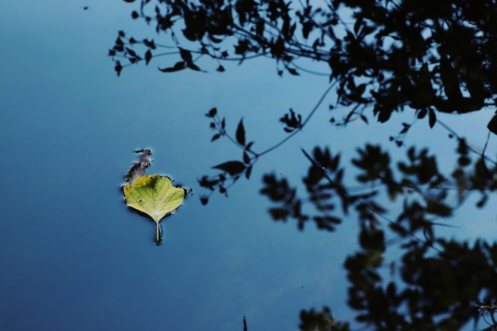 Photograph by Тимофей Ведясов