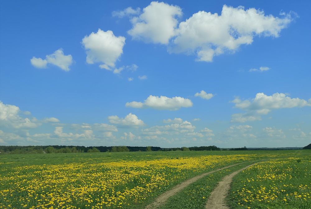 Photograph by Екатерина