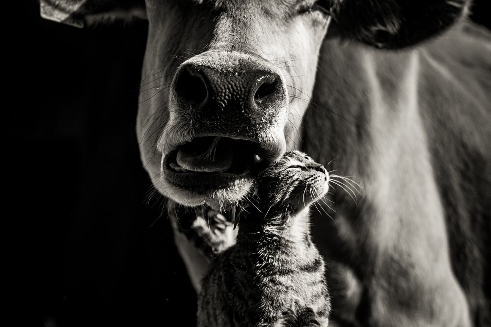 Photograph by Nadezhda Zhitkova