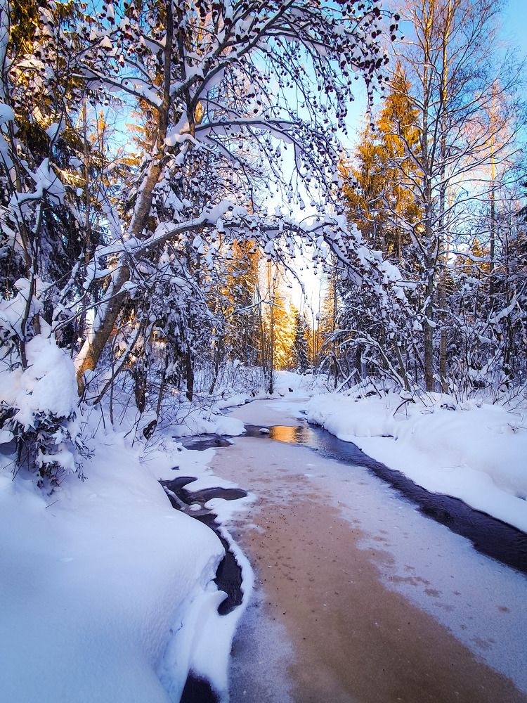 Зимняя речка.