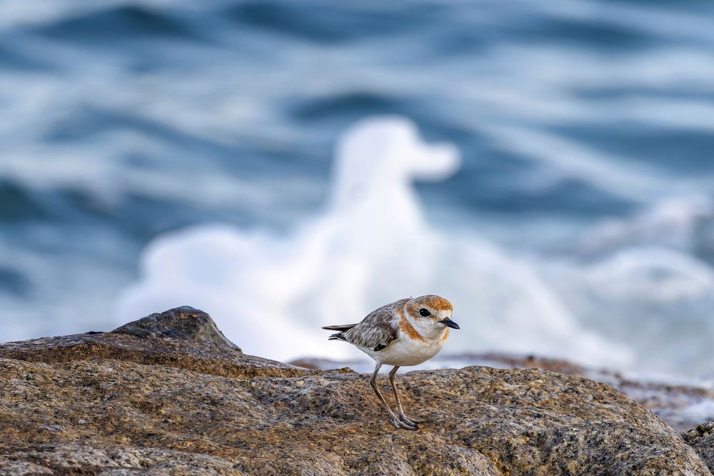 Photograph by PARTHA ROY