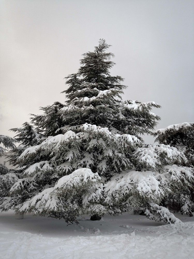 Photograph by Ирина Ри