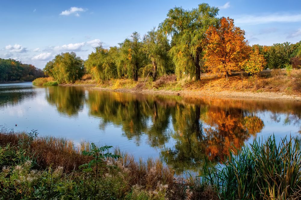 Отражение осени