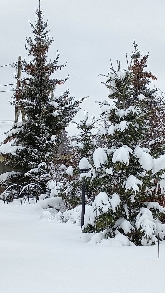 Photograph by Осипова Карина Александровна