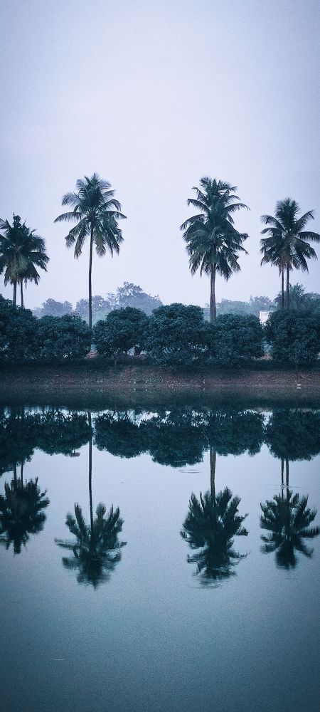 Symmetrical Reflection