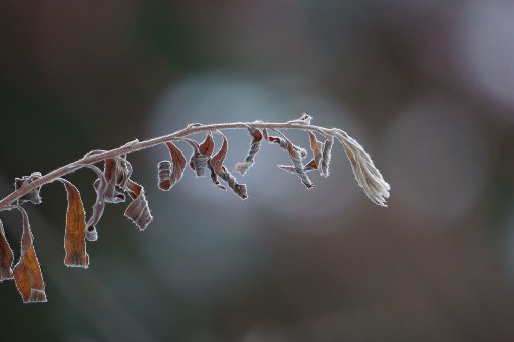 Photograph by Артём Долгушин