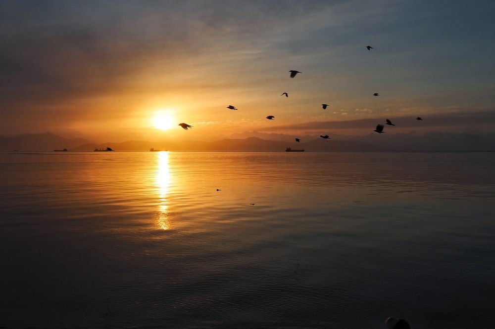 Photograph by Elena Poddubnaja