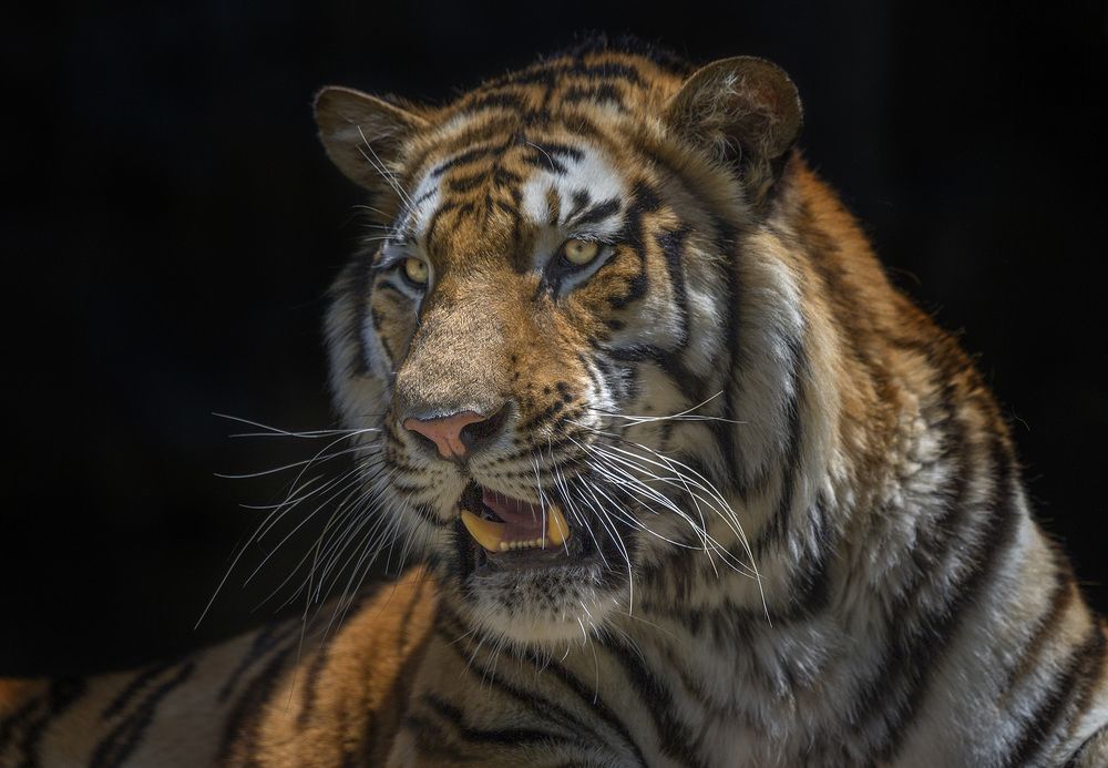 Photograph by Анатолий Макоедов