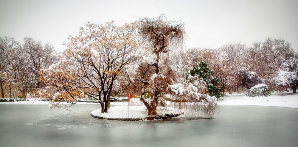 Фотография автора Pejman Sadeghzadeh